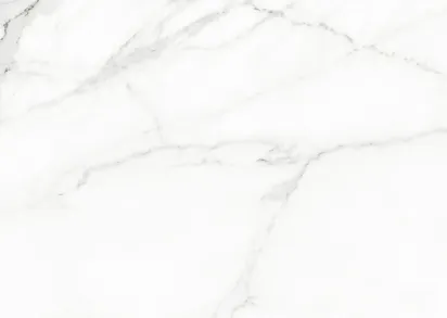 Керамогранит 117432 White Beauty Levigato Rettificato 60x120