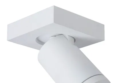 Спот Lucide Taylor 09930/05/31