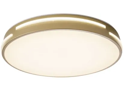 Потолочный светодиодный светильник Zortes Gabby ZRS.90610.40