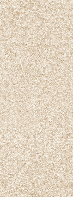 INVICTUS Priscus Priscus 30